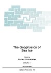 The Geophysics of Sea Ice