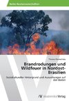 Brandrodungen und Wildfeuer in Nordost-Brasilien