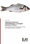 Indagine Anatomo-istopatologica su Spigole pescate in fiume