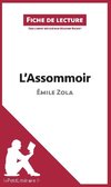 Analyse : L'Assommoir de Émile Zola  (analyse complète de l'oeuvre et résumé)
