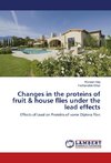 Changes in the proteins of fruit & house flies under the lead effects