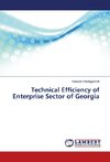 Technical Efficiency of Enterprise Sector of Georgia