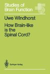 How Brain-like is the Spinal Cord?