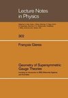 Geometry of Supersymmetric Gauge Theories