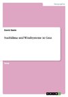 Stadtklima und Windsysteme in Graz