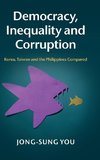 Democracy, Inequality and Corruption