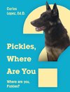 Pickles, Where Are You? Where Are You, Pickles?