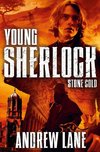 Young Sherlock Holmes 07. Stone Cold