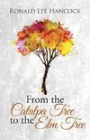 From the Catalpa Tree to the Elm Tree