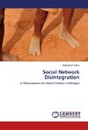 Social Network Disintegration