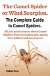 The Camel Spider or Wind Scorpion. the Complete Guide to Camel Spiders. All You Need to Know about Camel Spiders. Facts Including Size, Speed, Bite an