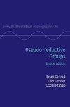 Pseudo-reductive Groups