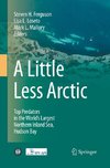 A Little Less Arctic