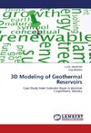3D Modeling of Geothermal Reservoirs