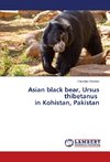 Asian black bear, Ursus thibetanus in Kohistan, Pakistan