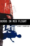 Birds in Mid Flight