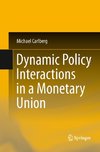 Dynamic Policy Interactions in a Monetary Union