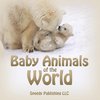 Baby Animals of the World