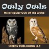 Owly Owls Most Popular Owls Of The World