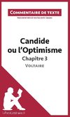 Commentaire composé : Candide ou l'Optimisme de Voltaire - Chapitre 3