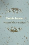 Birds in London