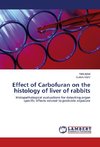 Effect of Carbofuran on the histology of liver of rabbits
