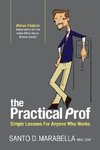 The Practical Prof