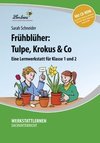Frühblüher: Tulpe, Krokus & Co
