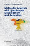 Molecular Analysis of B Lymphocyte Development and Activation