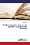 Feature selection and model selection in supervised learning