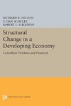 Structural Change in a Developing Economy