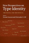 New Perspectives on Type Identity