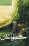 Flight of Imagination