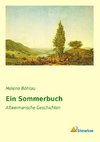 Ein Sommerbuch