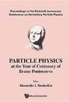 I, S:  Particle Physics At The Year Of Centenary Of Bruno Po