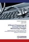 Efficient Processing of Corneal Confocal Microscopy Images