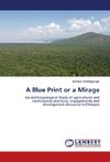 A Blue Print or a Mirage