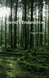 David's Endurance