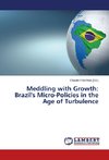 Meddling with Growth: Brazil's Micro-Policies in the Age of Turbulence