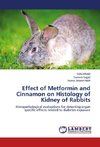 Effect of Metformin and Cinnamon on Histology of Kidney of Rabbits
