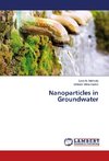 Nanoparticles in Groundwater