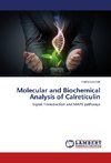 Molecular and Biochemical Analysis of Calreticulin