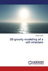 3D gravity modeling of a salt structure