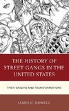 History of Street Gangs in the United States