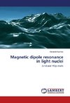 Magnetic dipole resonance in light nuclei