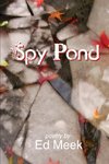 Spy Pond