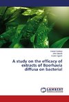 Boerhavia diffusa plant and whitlow treatment
