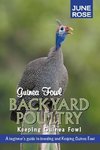Guinea Fowl, Backyard Poultry