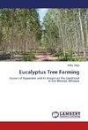 Eucalyptus Tree Farming
