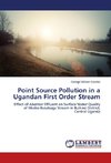 Point Source Pollution in a Ugandan First Order Stream